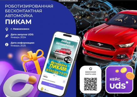 Пикам